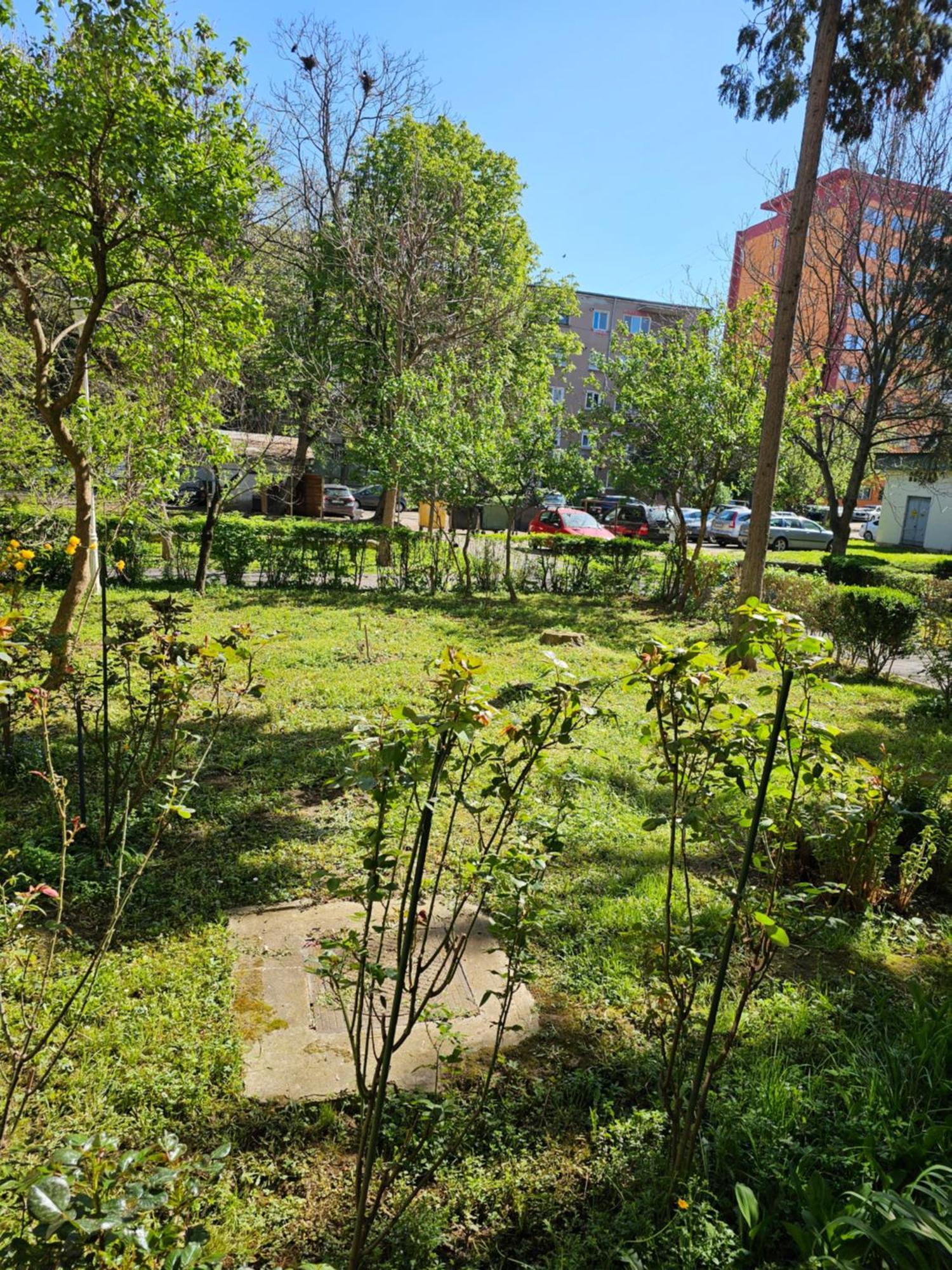 Apartament Alina Deva Eksteriør billede